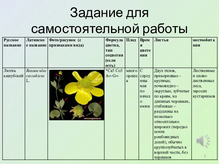 Задание для самостоятельной работы