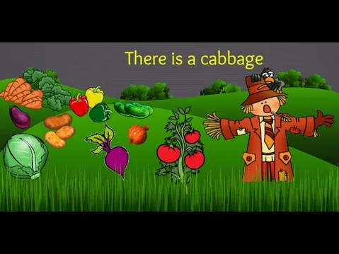 There is a cabbage