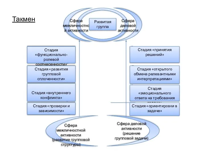 Такмен Стадия «функционально- ролевой соотнесенности» Стадия «развития групповой сплоченности» Стадия «внутреннего конфликта» Стадия «проверки и зависимости»