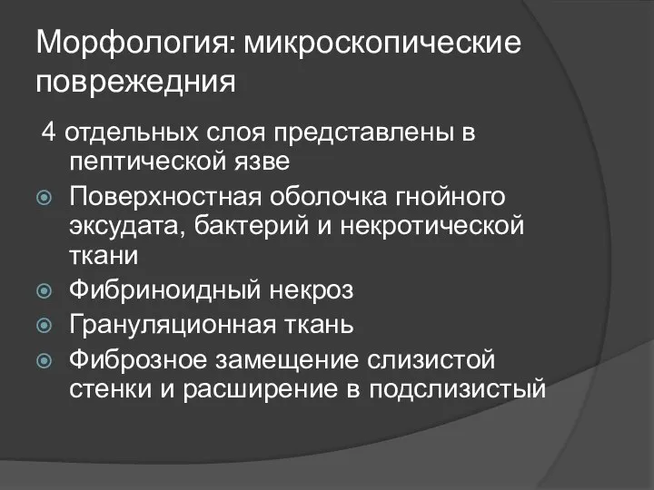 Морфология: микроскопические поврежедния 4 отдельных слоя представлены в пептической язве Поверхностная оболочка