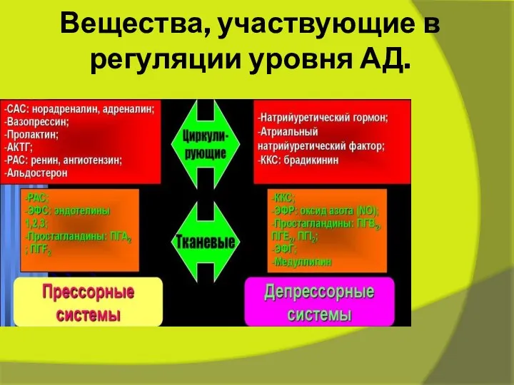 Вещества, участвующие в регуляции уровня АД.