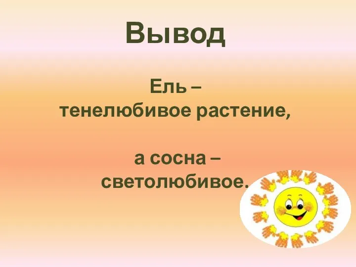 Вывод Ель – тенелюбивое растение, а сосна – светолюбивое.