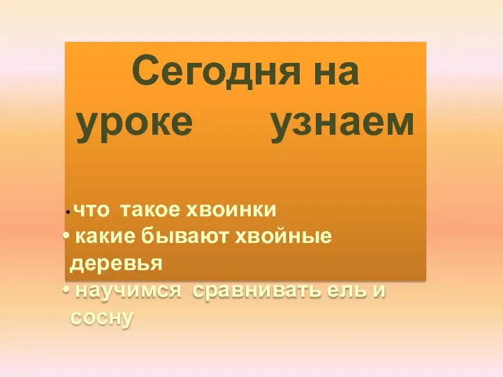 Сегодня на уроке узнаем что такое хвоинки какие бывают хвойные деревья научимся сравнивать ель и сосну