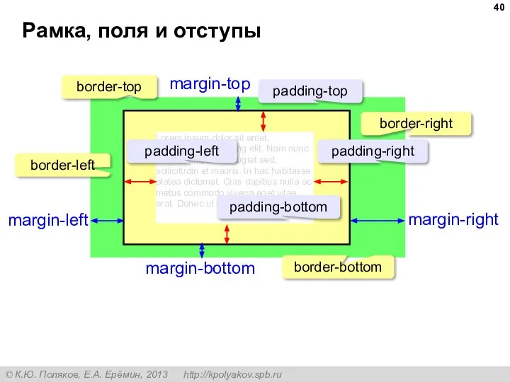 Рамка, поля и отступы Lorem ipsum dolor sit amet, consectetur adipiscing elit.