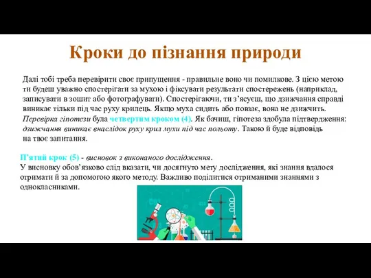 Кроки до пізнання природи Далі тобі треба перевірити своє припущення - правильне