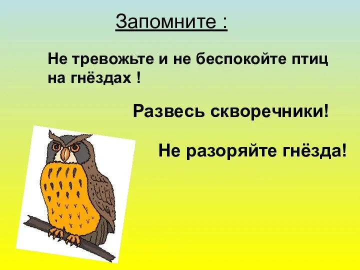 Запомните : Не тревожьте и не беспокойте птиц на гнёздах ! Развесь скворечники! Не разоряйте гнёзда!