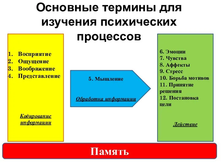 6. Эмоции 7. Чувства 8. Аффекты 9. Стресс 10. Борьба мотивов 11.