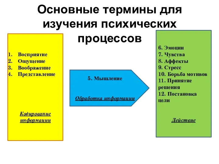 Основные термины для изучения психических процессов 6. Эмоции 7. Чувства 8. Аффекты