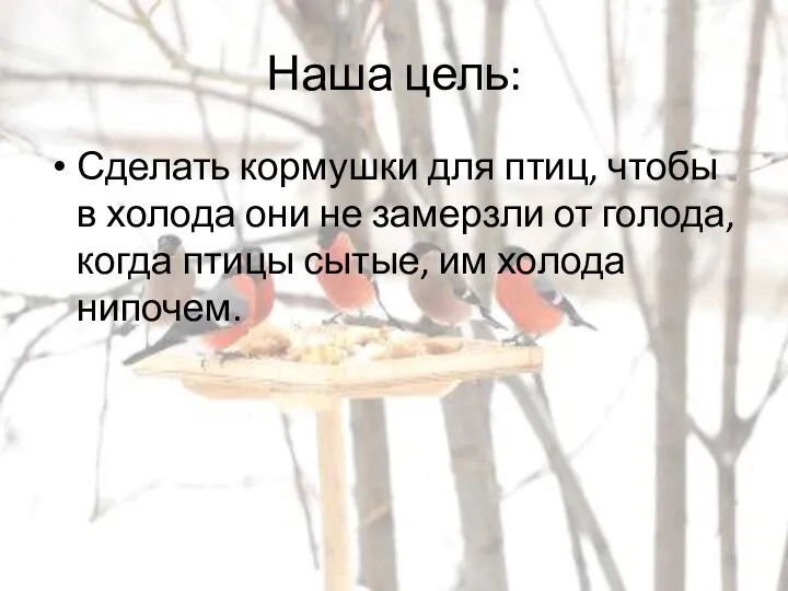 Наша цель: Сделать кормушки для птиц, чтобы в холода они не замерзли