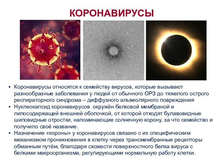 Коронавирусы относятся к семейству вирусов, которые вызывают разнообразные заболевания у людей от