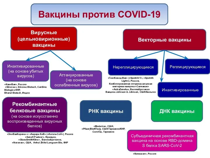 Вирусные (цельновирионные) вакцины Инактивированные (на основе убитых вирусов) Аттенуированные (на основе ослабленных