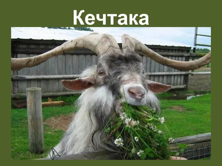 Кечтака