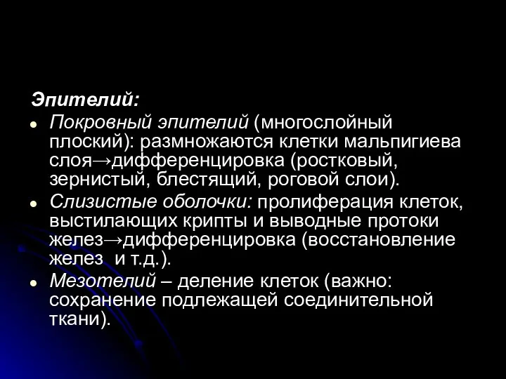 Эпителий: Покровный эпителий (многослойный плоский): размножаются клетки мальпигиева слоя→дифференцировка (ростковый, зернистый, блестящий,