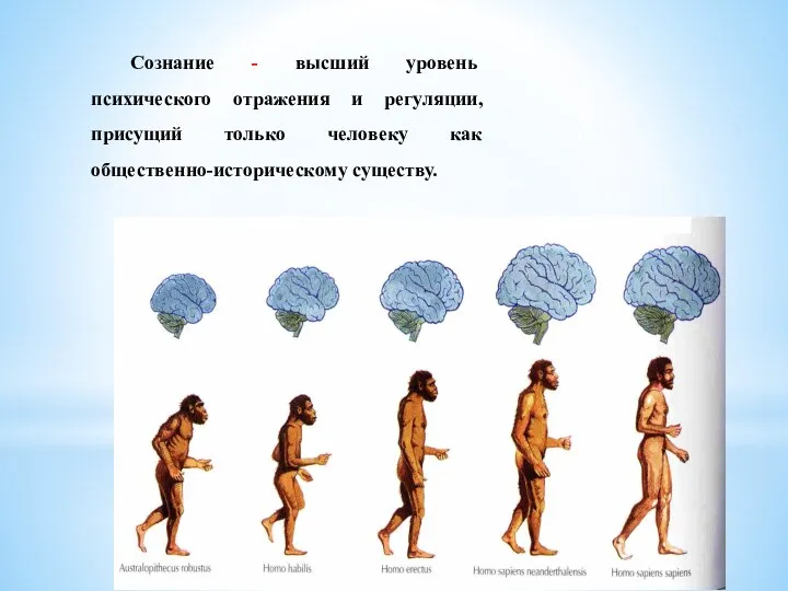 Сознание - высший уровень психического отражения и регуляции, присущий только человеку как общественно-историческому существу.