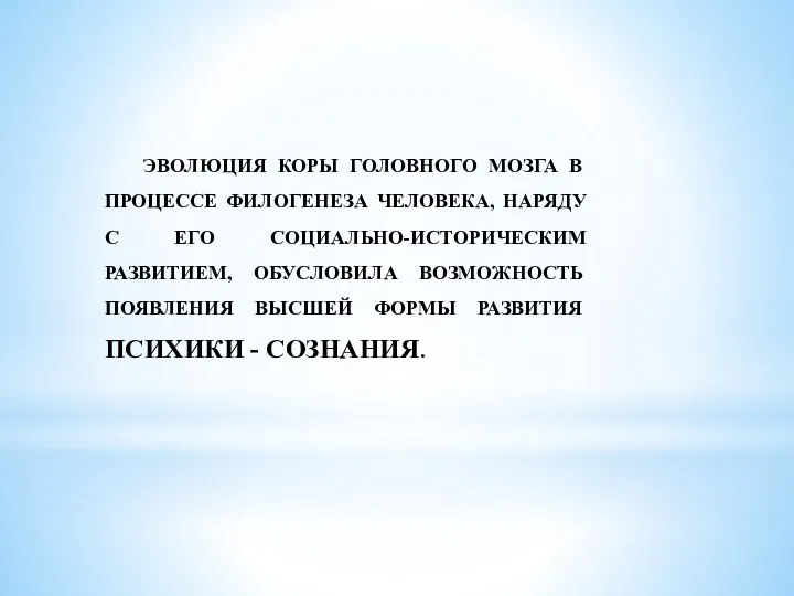 ЭВОЛЮЦИЯ КОРЫ ГОЛОВНОГО МОЗГА В ПРОЦЕССЕ ФИЛОГЕНЕЗА ЧЕЛОВЕКА, НАРЯДУ С ЕГО СОЦИАЛЬНО-ИСТОРИЧЕСКИМ