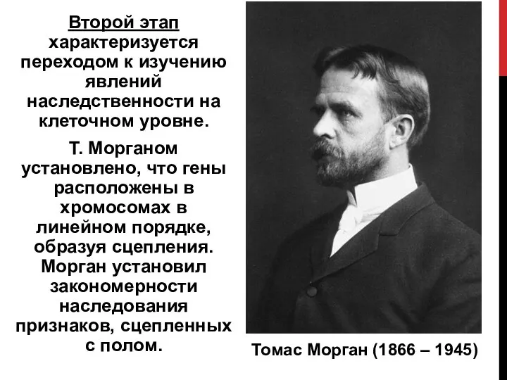 Второй этап характеризуется переходом к изучению явлений наследственности на клеточном уровне. Т.