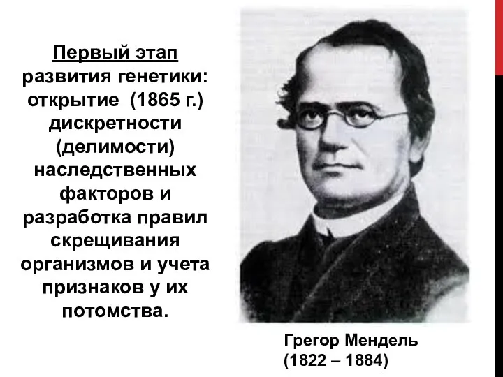 Первый этап развития генетики: открытие (1865 г.) дискретности (делимости) наследственных факторов и