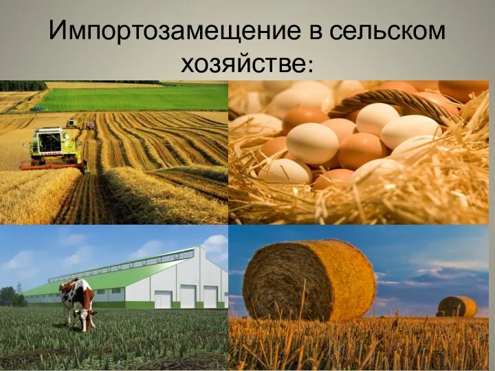 Импортозамещение в сельском хозяйстве: