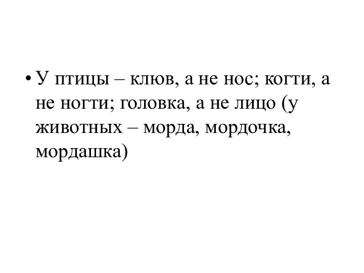 У птицы – клюв, а не нос; когти, а не ногти; головка,