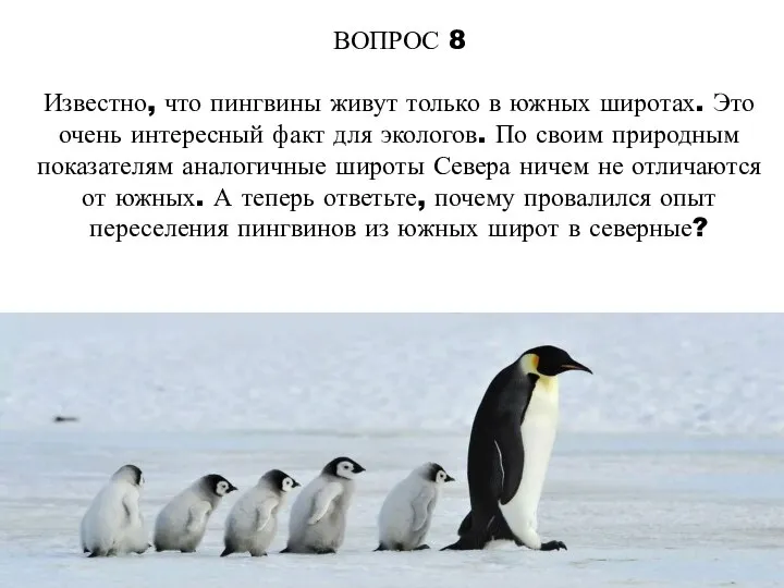 ВОПРОС 8 Известно, что пингвины живут только в южных широтах. Это очень
