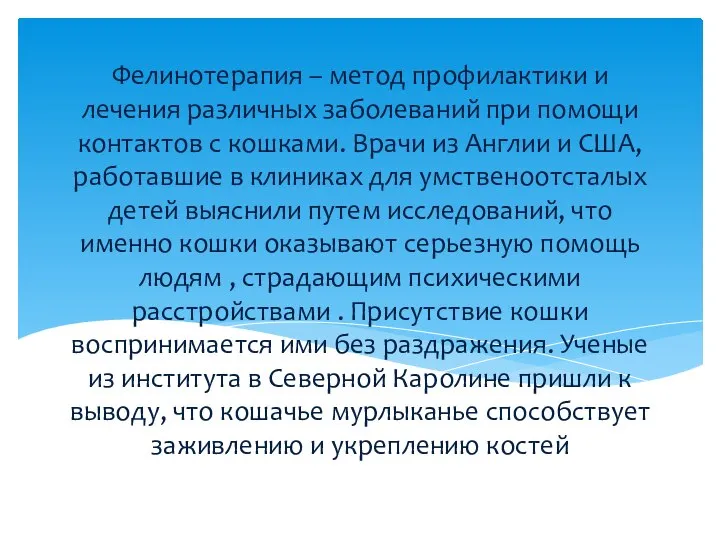 Фелинотерапия – метод профилактики и лечения различных заболеваний при помощи контактов с