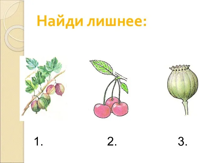 Найди лишнее: 1. 2. 3.