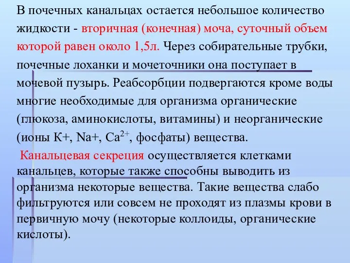 В почечных канальцах остается небольшое количество жидкости - вторичная (конечная) моча, суточный