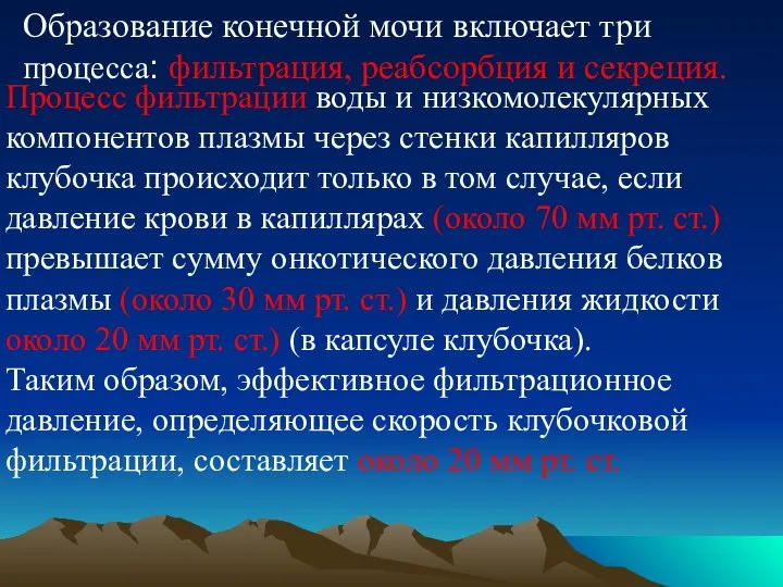 Процесс фильтрации воды и низкомолекулярных компонентов плазмы через стенки капилляров клубочка происходит