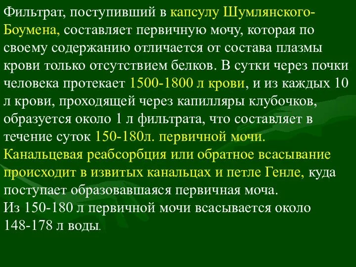 Фильтрат, поступивший в капсулу Шумлянского-Боумена, составляет первичную мочу, которая по своему содержанию