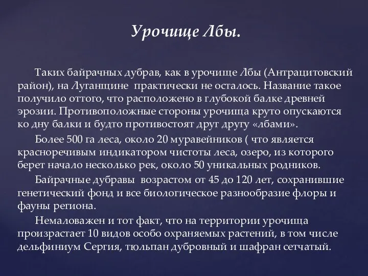 Урочище Лбы. Таких байрачных дубрав, как в урочище Лбы (Антрацитовский район), на