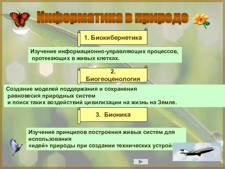 Информатика в природе Изучение информационно-управляющих процессов, протекающих в живых клетках. 1. Биокибернетика