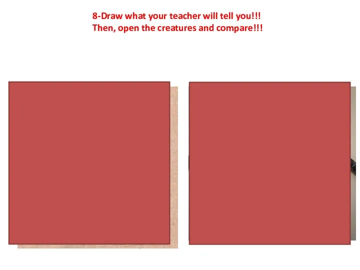 8-Draw what your teacher will tell you!!! Then, open the creatures and compare!!!