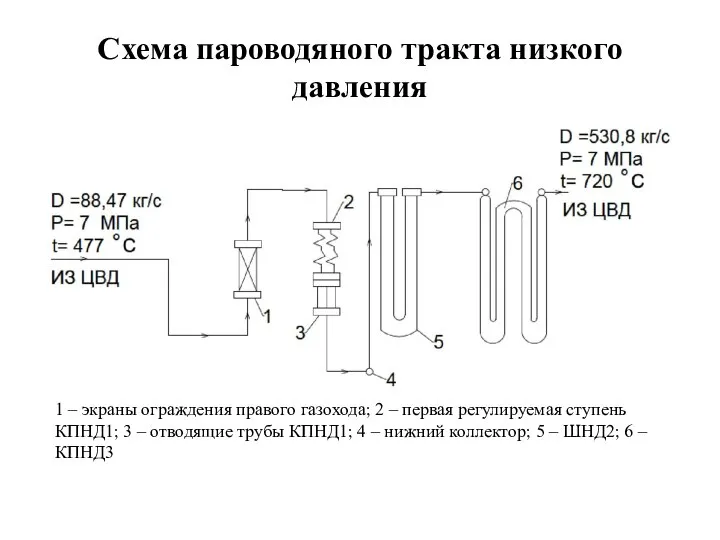 Схема пароводяного тракта низкого давления 1 – экраны ограждения правого газохода; 2