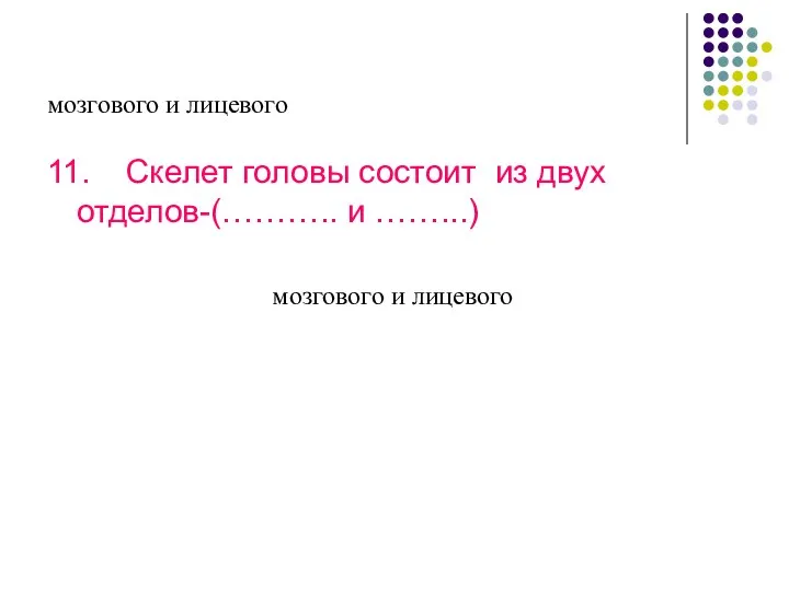 мозгового и лицевого 11. Скелет головы состоит из двух отделов-(……….. и ……...) мозгового и лицевого