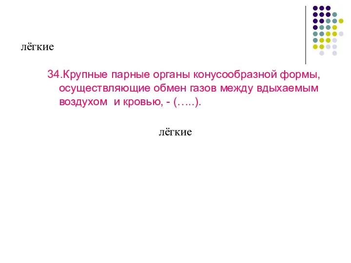 лёгкие 34.Крупные парные органы конусообразной формы, осуществляющие обмен газов между вдыхаемым воздухом