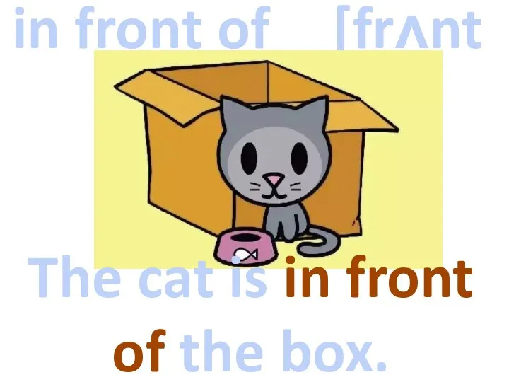 in front of [frʌnt] The cat is in front of the box.