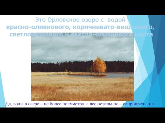 Это Орловское озеро с водой красно-оливкового, коричневато-вишневого, светло-розового и светло-оливкового цвета Да,