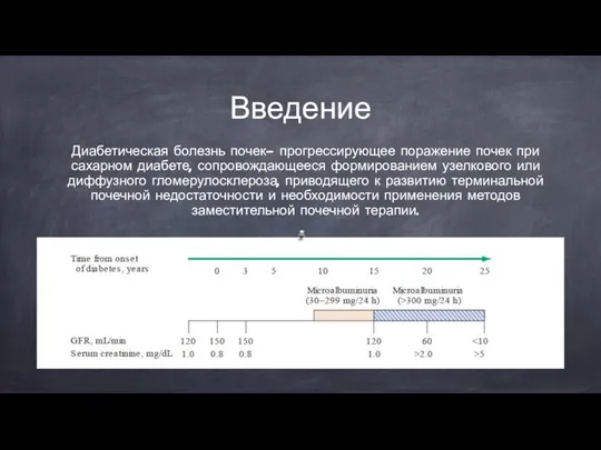 Введение Диабетическая болезнь почек- прогрессирующее поражение почек при сахарном диабете, сопровождающееся формированием