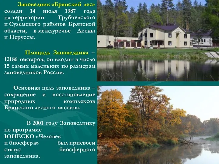 Заповедник «Брянский лес» создан 14 июля 1987 года на территории Трубчевского и