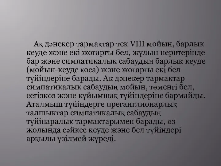 Ақ дәнекер тармақтар тек VIII мойын, барлык кеуде жэне екі жоғаргы бел,