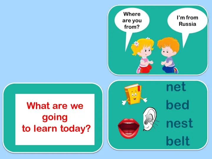 What are we going to learn today? net bed nest belt