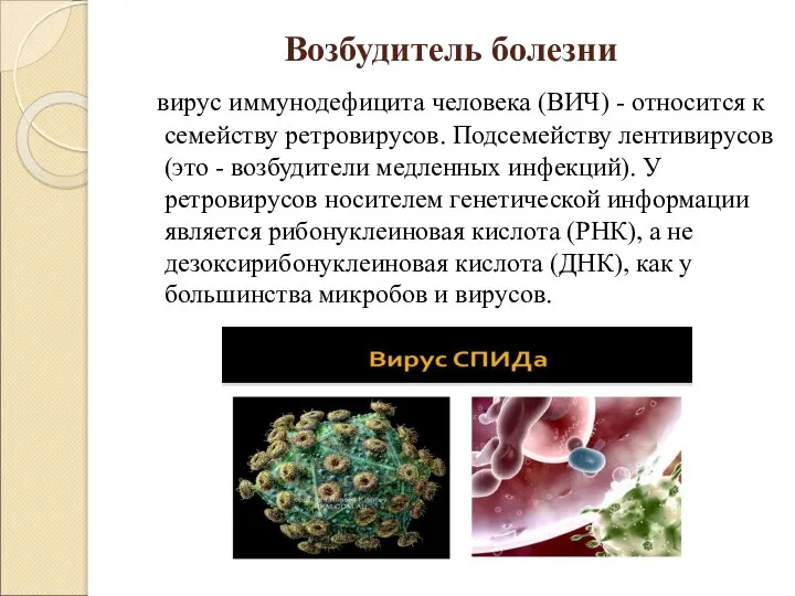 Возбудитель болезни вирус иммунодефицита человека (ВИЧ) - относится к семейству ретровирусов. Подсемейству