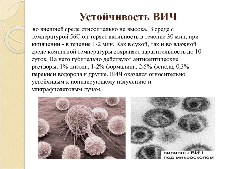 Устойчивость ВИЧ во внешней среде относительно не высока. В среде с температурой