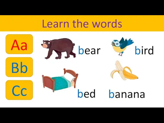 Cc Learn the words bear bird bed banana Bb Aa