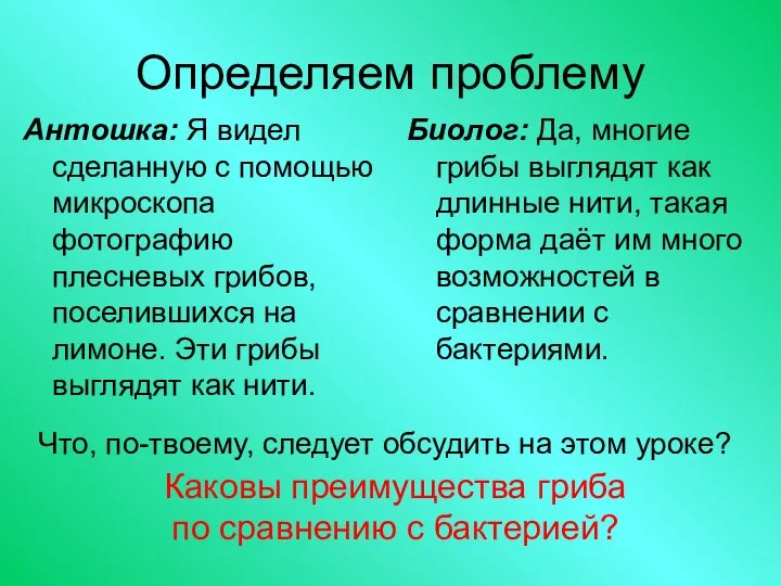 Определяем проблему Антошка: Я видел сделанную с помощью микроскопа фотографию плесневых грибов,