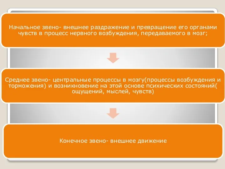 Начальное звено- внешнее раздражение и превращение его органами чувств в процесс нервного