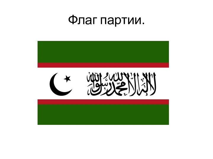 Флаг партии.