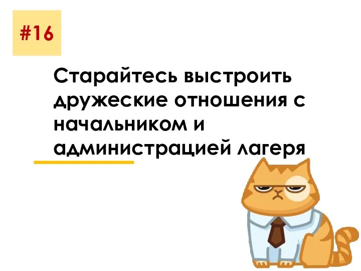 #16 Старайтесь выстроить дружеские отношения с начальником и администрацией лагеря