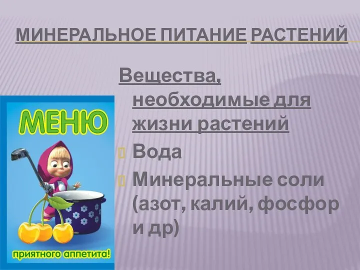 МИНЕРАЛЬНОЕ ПИТАНИЕ РАСТЕНИЙ Вещества, необходимые для жизни растений Вода Минеральные соли (азот, калий, фосфор и др)