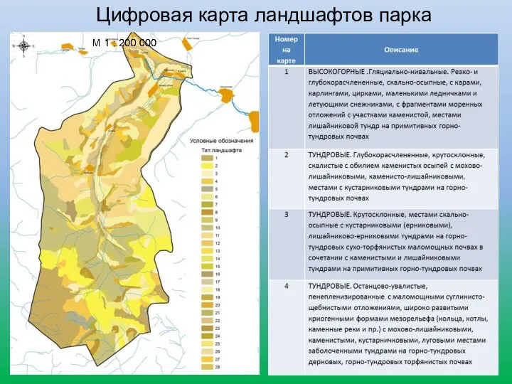 Цифровая карта ландшафтов парка